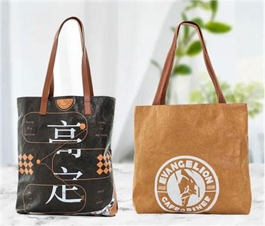 DuPont Paper Bag Tote Eco Bag